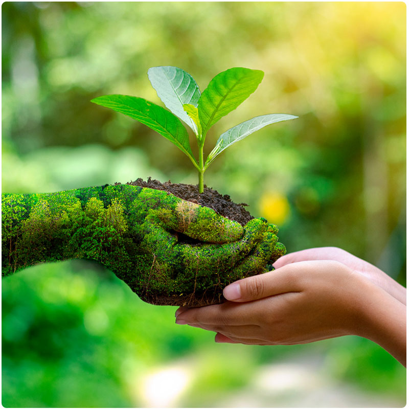sustainence
